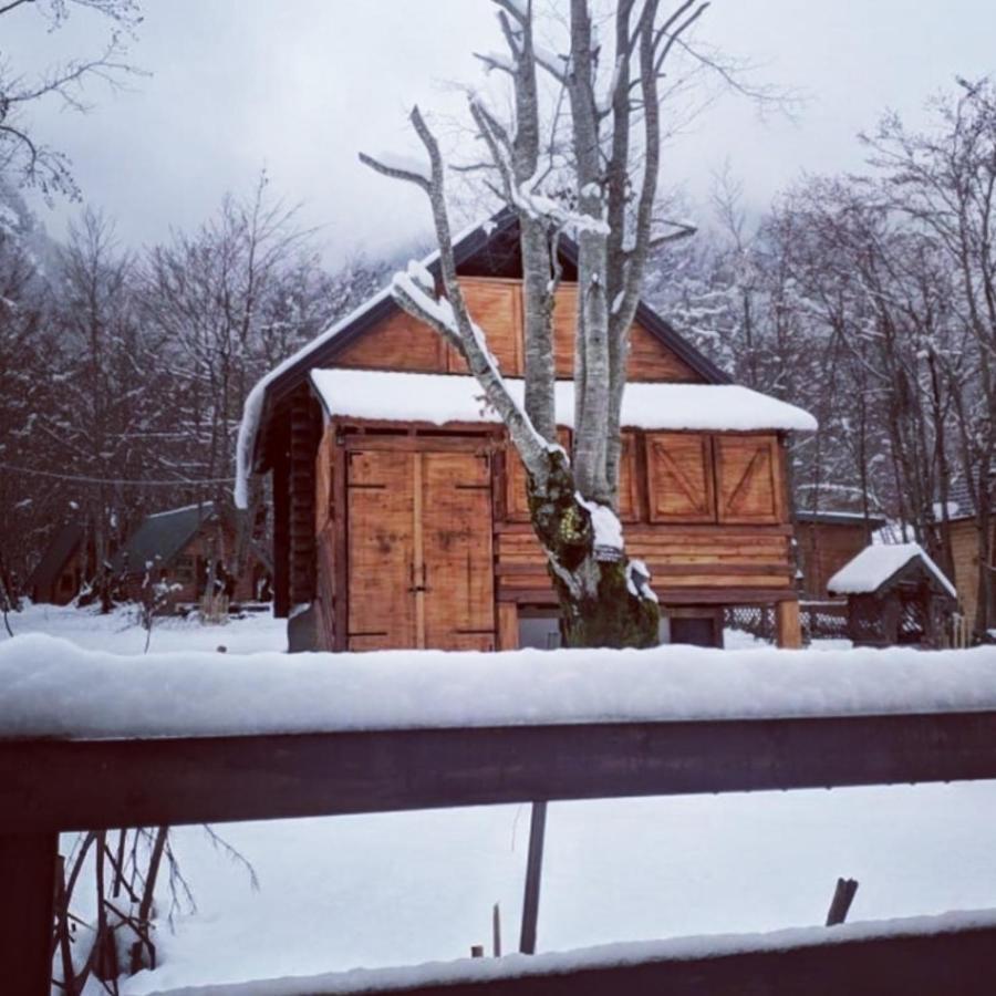 Bungalows Prokletije Gusinje 外观 照片