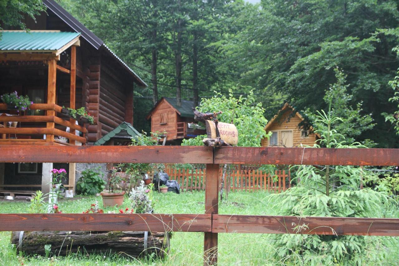Bungalows Prokletije Gusinje 外观 照片