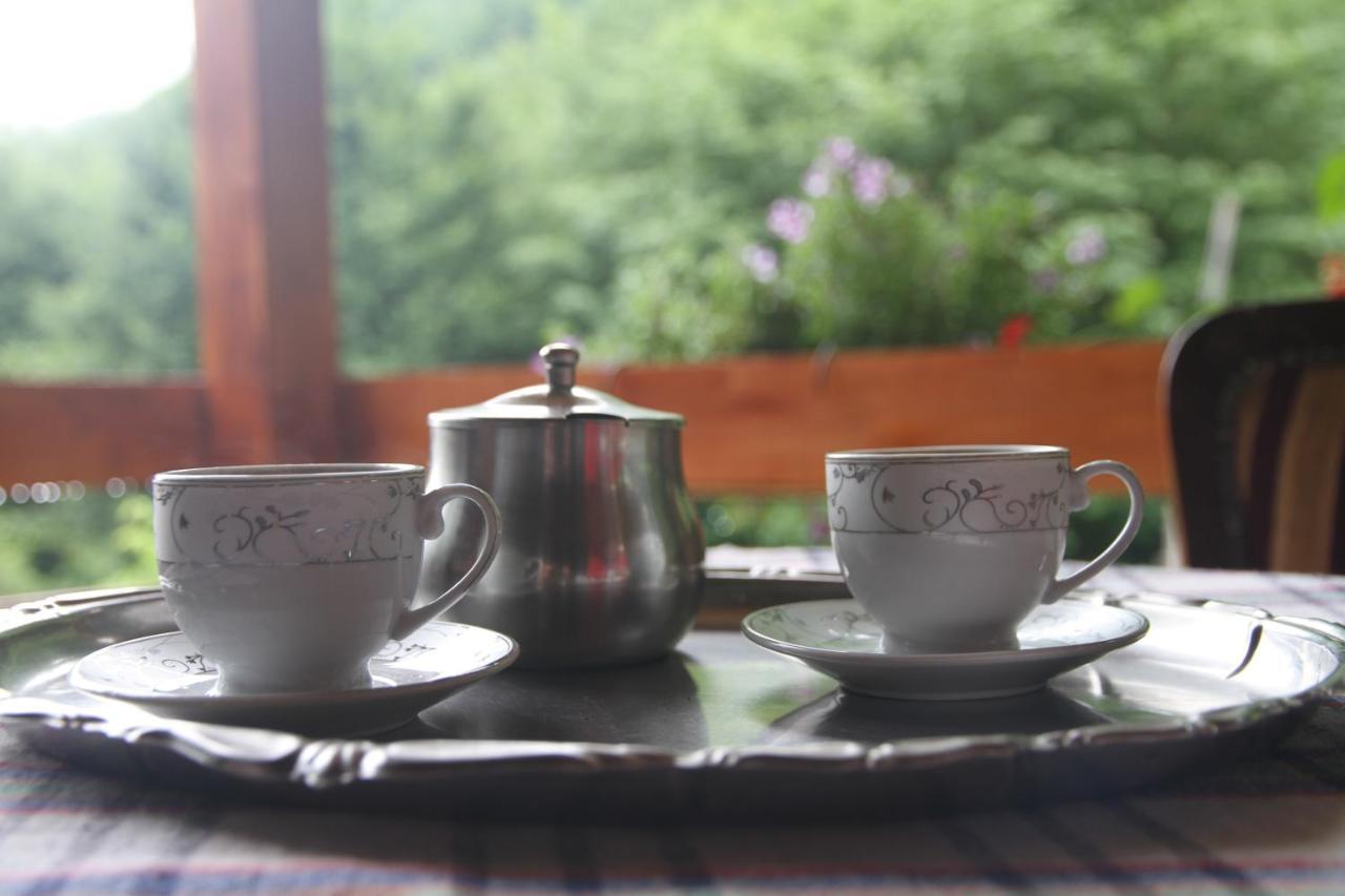 Bungalows Prokletije Gusinje 外观 照片