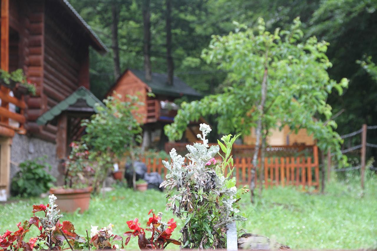 Bungalows Prokletije Gusinje 外观 照片